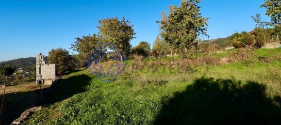 Terrain à Soalhaes, Portugal 17960m² No. 32781 6