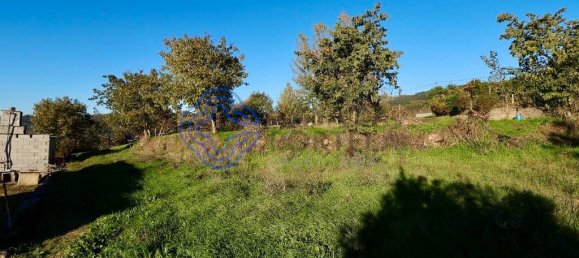 Terrain à Soalhaes, Portugal 17960m² No. 32781 5