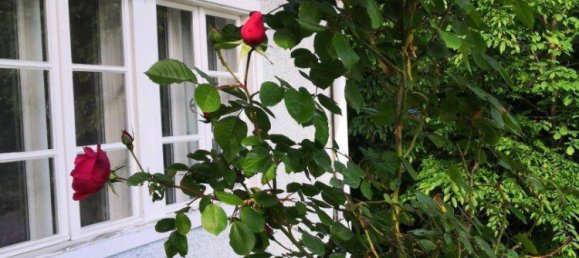 Casa de 6 divisões em Friedberg, Austria N.º 257022 36