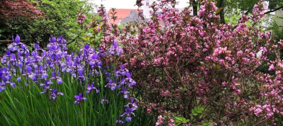 Casa de 6 divisões em Friedberg, Austria N.º 257022 34