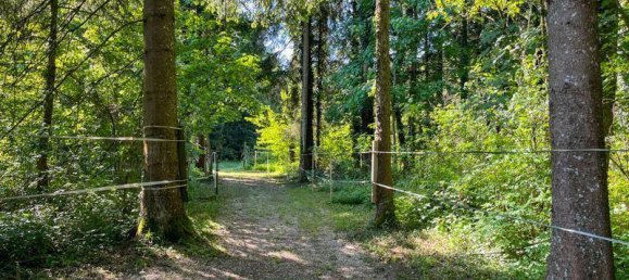 Casa T15 em Gmunden, Austria N.º 155147 19