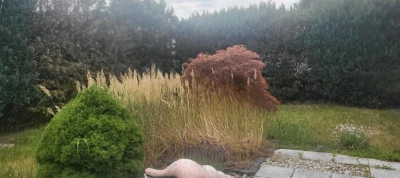 3 bedrooms Townhouse in Hanover, Germany No. 291711 9