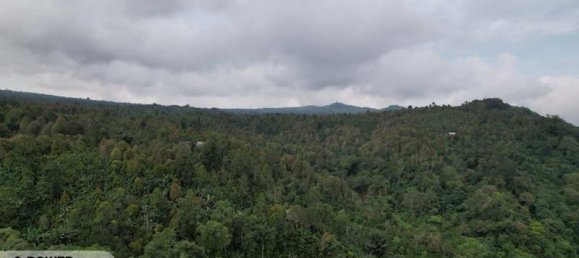 Земельный участок 4000м² в Булеленг, Индонезия № 4330 3