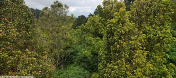 Земельный участок 4000м² в Булеленг, Индонезия № 4330 2