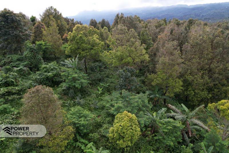 Земельный участок 4000м² в Булеленг, Индонезия № 4330