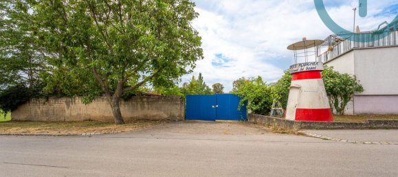  Land in Eisenstadt Umgebung, Austria No. 137158 4