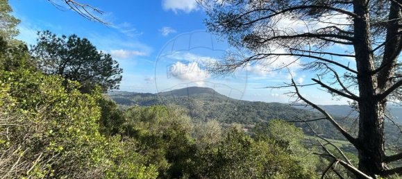 Terreno en Setubal, Portugal 8250 m² No. 73678 9