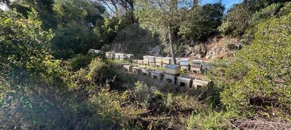 Terreno en Setubal, Portugal 8250 m² No. 73678 6