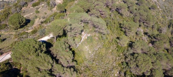 Terreno en Setubal, Portugal 8250 m² No. 73678 15