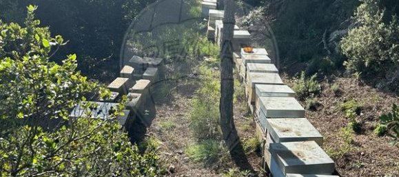 Terreno en Setubal, Portugal 8250 m² No. 73678 12