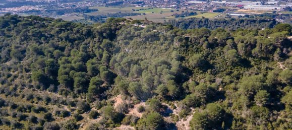 Terreno en Setubal, Portugal 8250 m² No. 73678 14