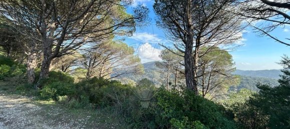 Terreno en Setubal, Portugal 8250 m² No. 73678 4