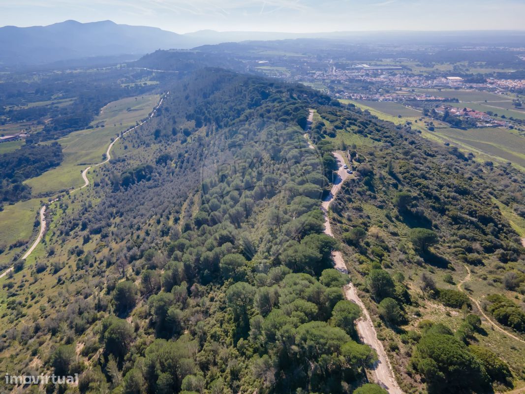 Terreno en Setubal, Portugal 8250 m² No. 73678