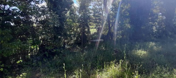 10 rooms House in Scansano, Italy No. 19289 51