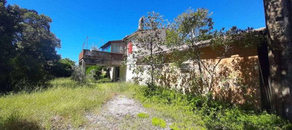 10 rooms House in Scansano, Italy No. 19289 21