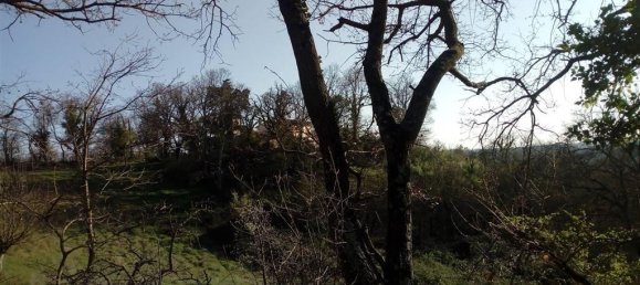 10 rooms House in Scansano, Italy No. 19289 17