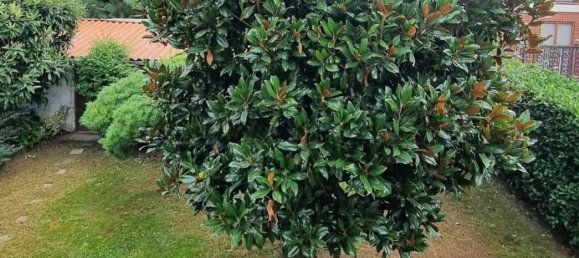 3 bedrooms Villa in Vigevano, Italy No. 329662 23