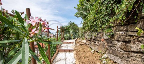 3 bedrooms Villa in Trieste, Italy No. 272703 8
