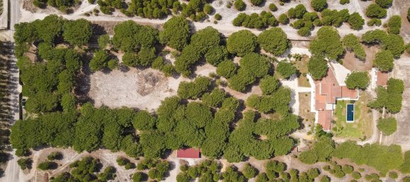 7 غرف نوم قلاع في Montijo, Portugal رقم 140208 38