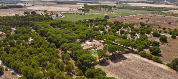 7 غرف نوم قلاع في Montijo, Portugal رقم 140208 18