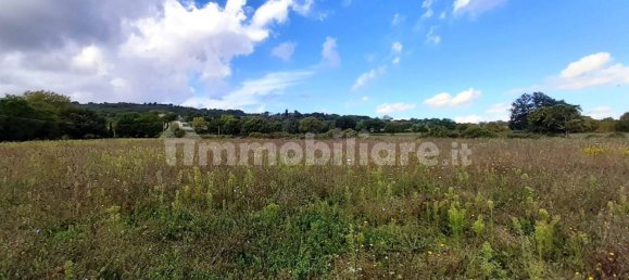 5 bedrooms House in Sarteano, Italy No. 223114 7