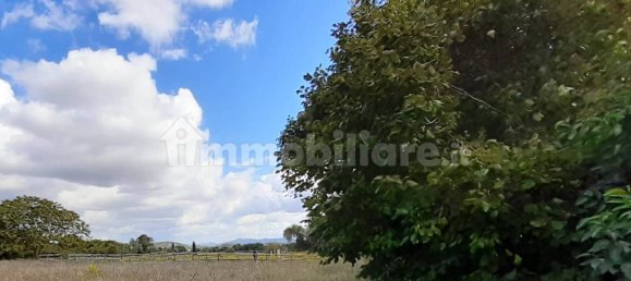 5 bedrooms House in Sarteano, Italy No. 223114 8