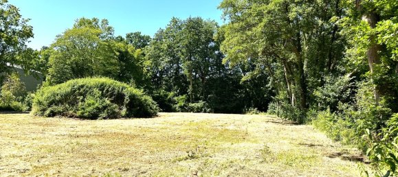 Land in Oldenburg, Germany No. 148384 4