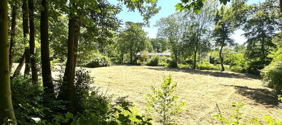 Land in Oldenburg, Germany No. 148384 5