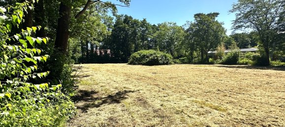 Land in Oldenburg, Germany No. 148384 10