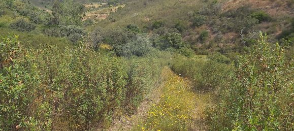 2 Schlafzimmer Haus in Santana da Serra, Portugal, Nr. 50173 8