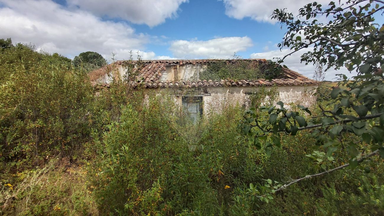 2 Schlafzimmer Haus in Santana da Serra, Portugal, Nr. 50173