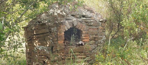 2 Schlafzimmer Haus in Santana da Serra, Portugal, Nr. 50173 6