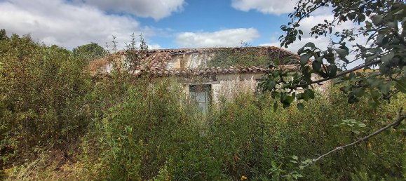 2 Schlafzimmer Haus in Santana da Serra, Portugal, Nr. 50173 3