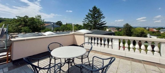 13 rooms Villa in Perchtoldsdorf, Austria No. 21907 11