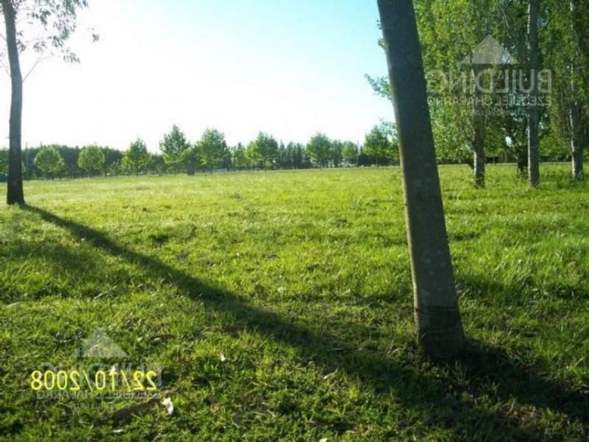  Land in Campo Creado, Argentina No. 113697