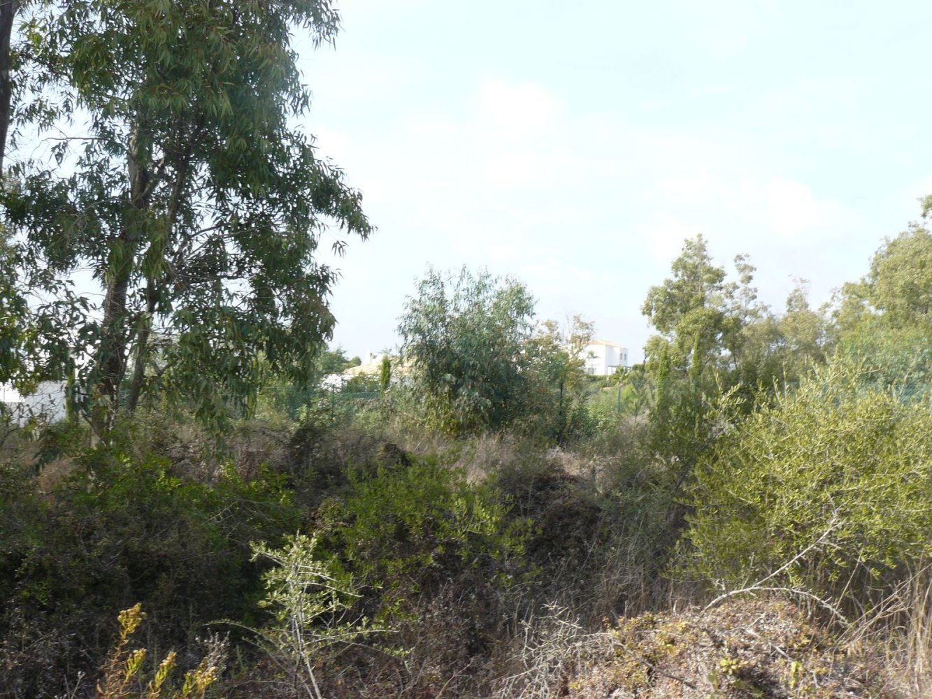 Земельный участок в Кадис, Испания № 146024