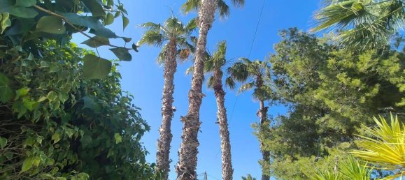 5 chambres Villa à Torrevieja, Spain No. 188378 6