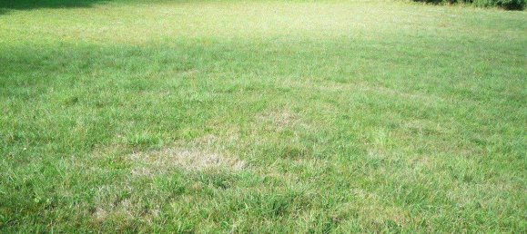  قطعة أرض في Kumberg, Austria رقم 159985 2