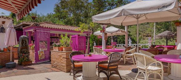 970m² Commercial property in Malaga, Spain No. 152976 13