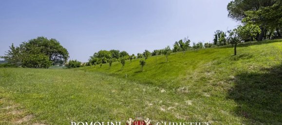 11 rooms Villa in Terre Roveresche, Italy No. 281428 23