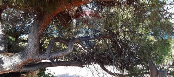 Villa de 7 dormitorios en Trinità d'Agultu e Vignola, Italy No. 215595 37