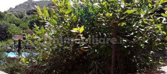 Villa de 7 dormitorios en Trinità d'Agultu e Vignola, Italy No. 215595 35