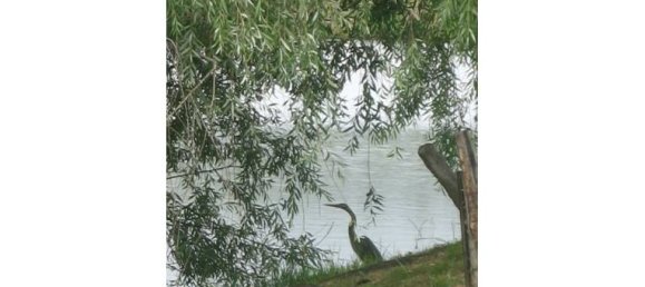 5 rooms Villa in Viareggio, Italy No. 255069 5