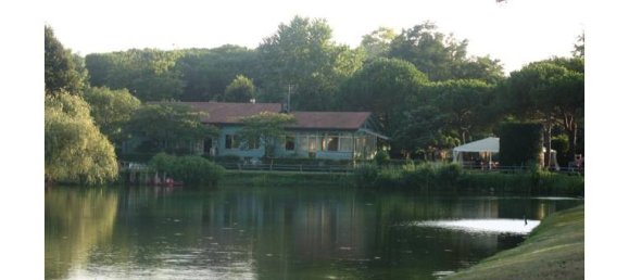 5 rooms Villa in Viareggio, Italy No. 255069 3