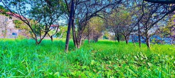 910m² Land in Cocquio-Trevisago, Italy No. 297300 5