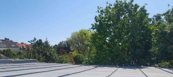 5 rooms Townhouse in Vienna, Austria No. 212072 29