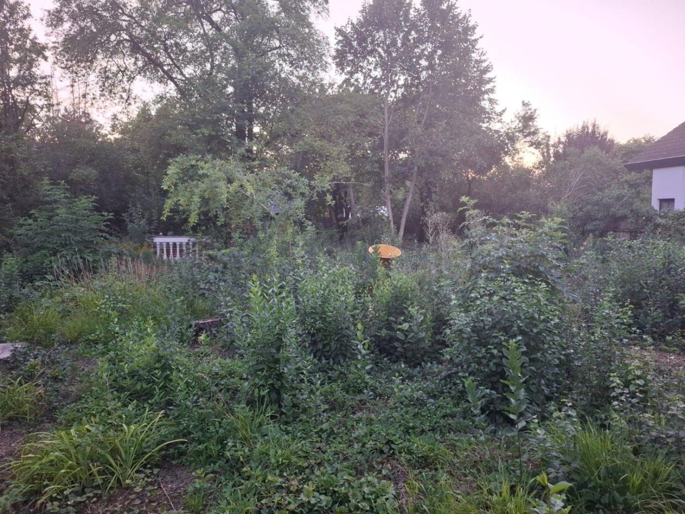 Terreno en Vienna, Austria No. 196396