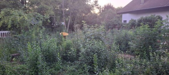 Terreno en Vienna, Austria No. 196396 4