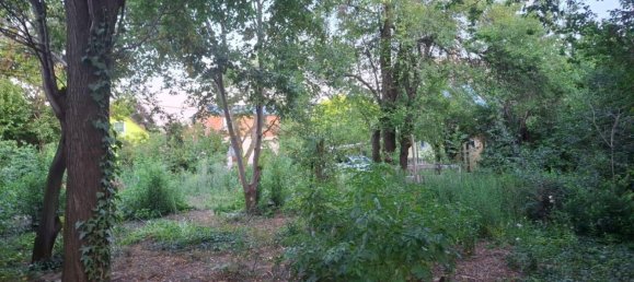 Terreno en Vienna, Austria No. 196396 2