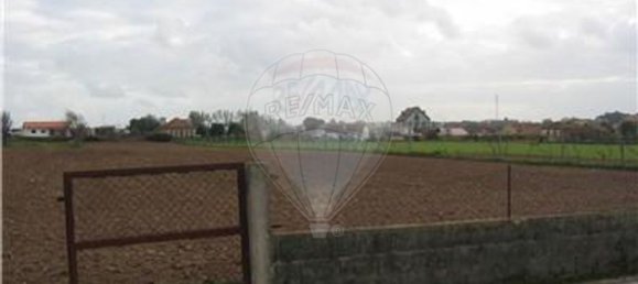 3160m² Land in Ovar, Portugal No. 91140 5
